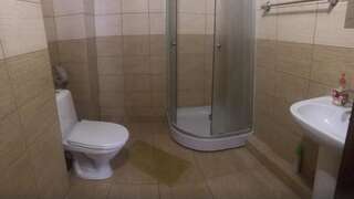 Гостевой дом Садиба Комфорт Славское Двухместный номер с 1 кроватью и собственной ванной комнатой-6